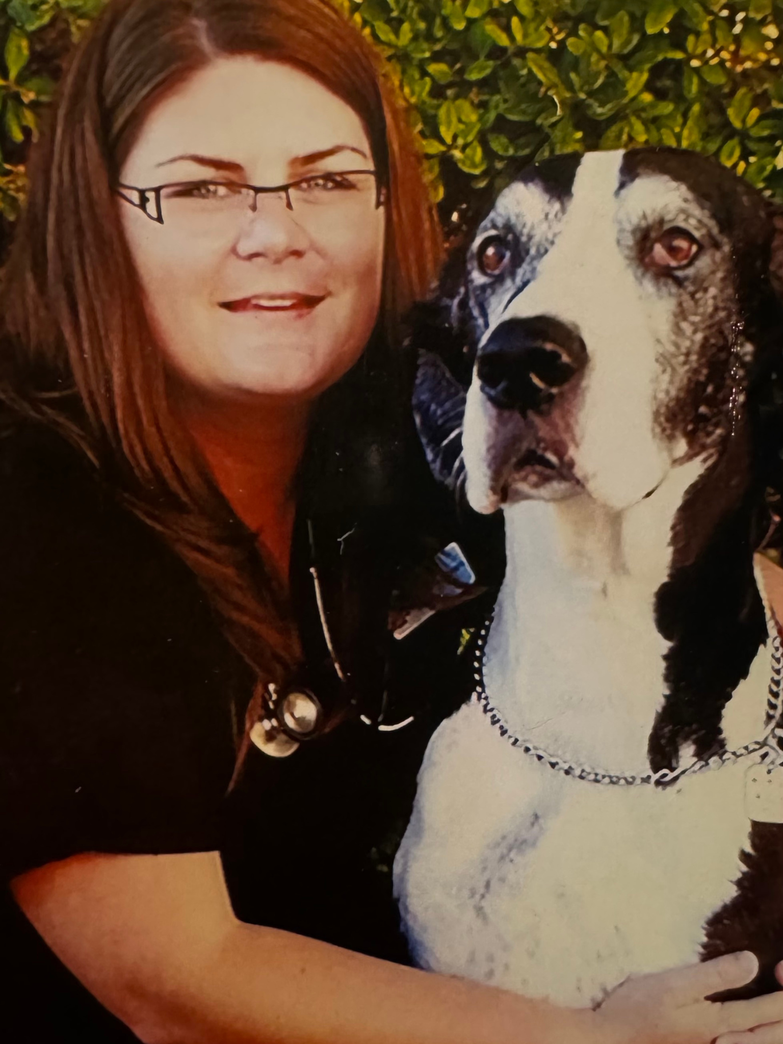 Alison Jensen DVM Abby Farmer